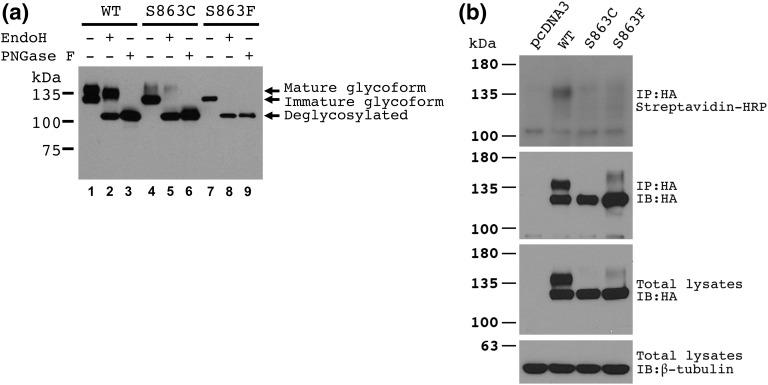 https://cdn.ncbi.nlm.nih.gov/pmc/blobs/a008/5686658/3bd5756af247/js-01-731-f2.jpg
