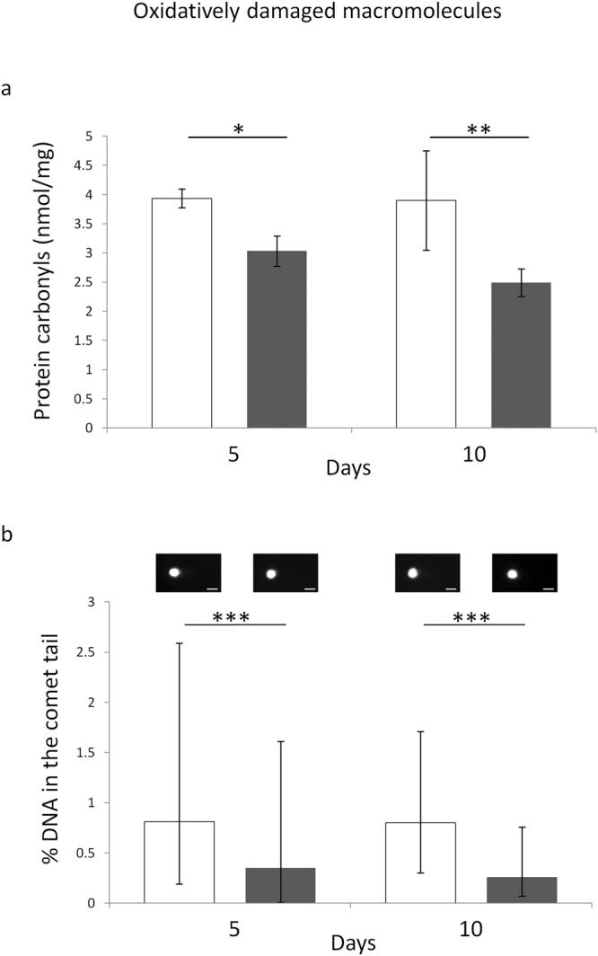 https://cdn.ncbi.nlm.nih.gov/pmc/blobs/a00a/5597619/06ebb5d1f1a2/41598_2017_11869_Fig2_HTML.jpg