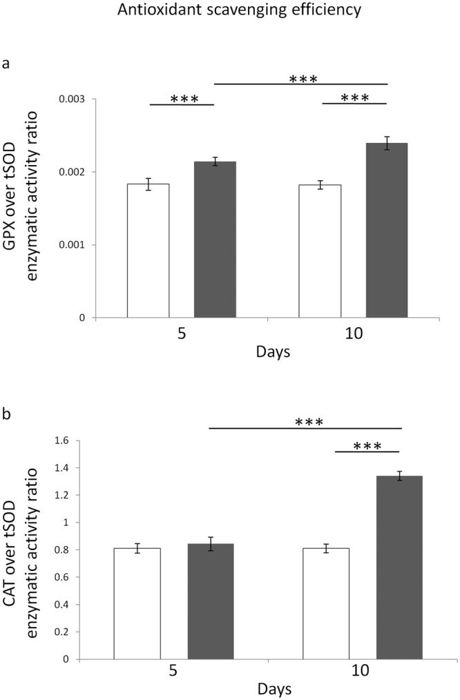 https://cdn.ncbi.nlm.nih.gov/pmc/blobs/a00a/5597619/4d814c99295c/41598_2017_11869_Fig1_HTML.jpg