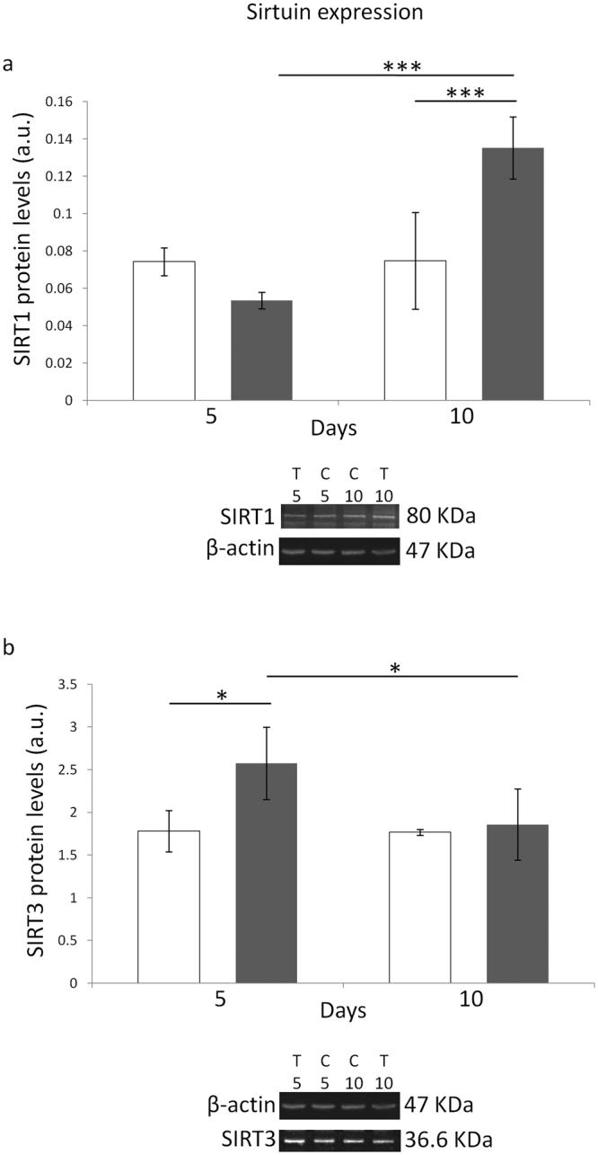 https://cdn.ncbi.nlm.nih.gov/pmc/blobs/a00a/5597619/fab1680dbec1/41598_2017_11869_Fig3_HTML.jpg