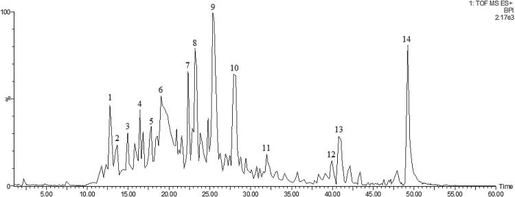 https://cdn.ncbi.nlm.nih.gov/pmc/blobs/a00d/5508475/8242d2b7b851/gr10.jpg