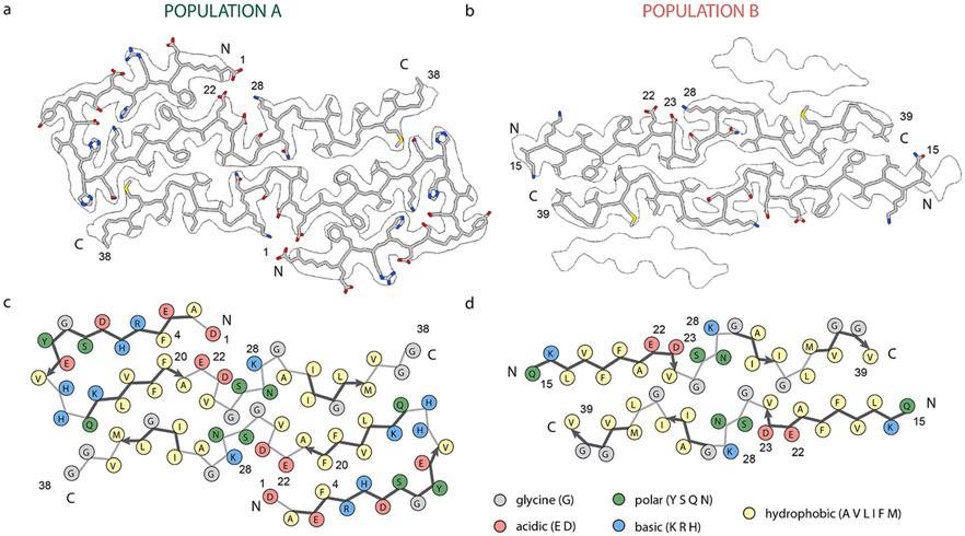 https://cdn.ncbi.nlm.nih.gov/pmc/blobs/a00f/11162928/46f01e7df068/nihms-1989148-f0002.jpg