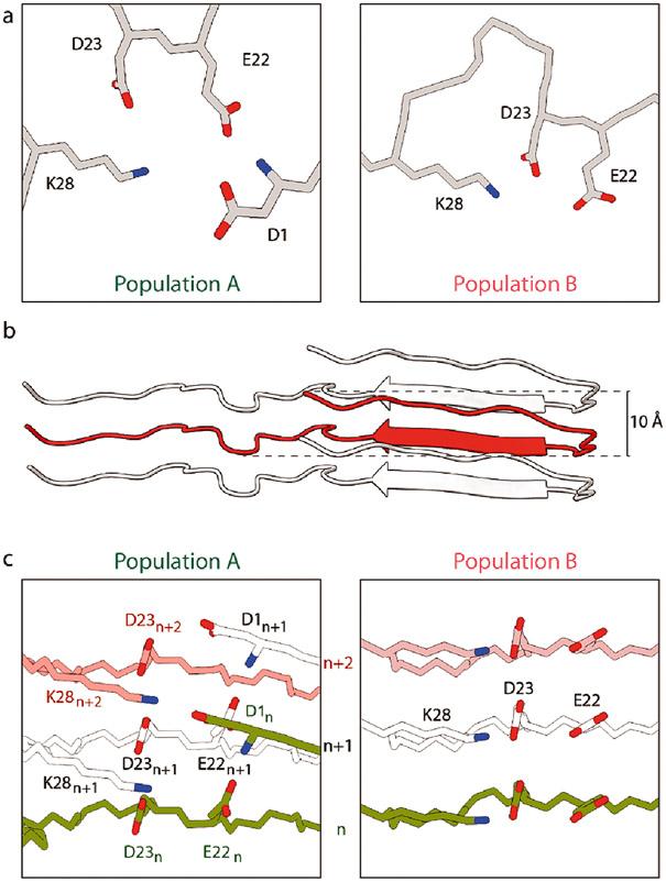 https://cdn.ncbi.nlm.nih.gov/pmc/blobs/a00f/11162928/4c9dbc7efc01/nihms-1989148-f0006.jpg