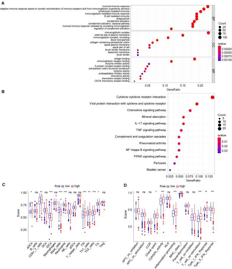 https://cdn.ncbi.nlm.nih.gov/pmc/blobs/a00f/8220217/349ce3efb0cf/fgene-12-650416-g004.jpg