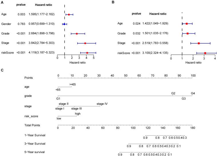 https://cdn.ncbi.nlm.nih.gov/pmc/blobs/a00f/8220217/4a9ff5a7359f/fgene-12-650416-g005.jpg