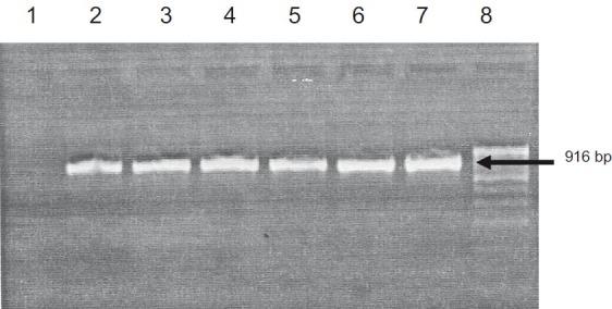 https://cdn.ncbi.nlm.nih.gov/pmc/blobs/a013/3461738/611bb18eb3b0/IJMR-136-260-g001.jpg
