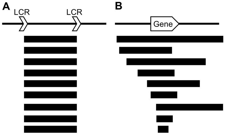 https://cdn.ncbi.nlm.nih.gov/pmc/blobs/a014/8470284/dbdb4238abc0/cells-10-02317-g002.jpg