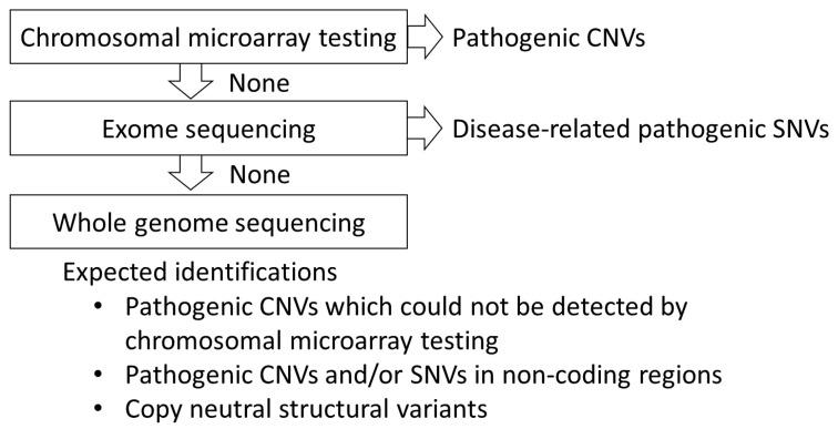 https://cdn.ncbi.nlm.nih.gov/pmc/blobs/a014/8470284/ed1e88e71f32/cells-10-02317-g005.jpg