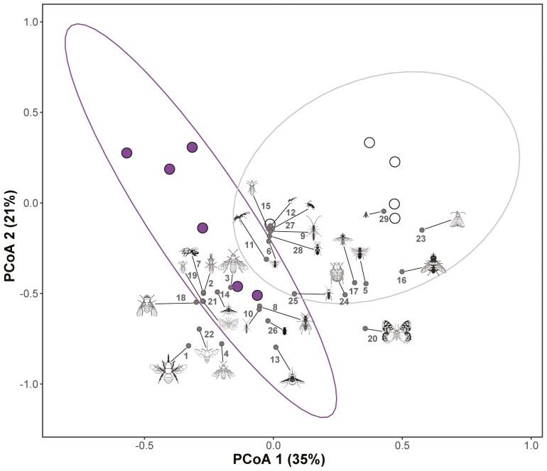 https://cdn.ncbi.nlm.nih.gov/pmc/blobs/a015/12190806/763636331eab/plae065_fig2.jpg