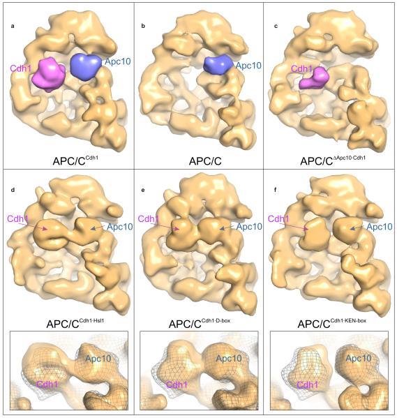 https://cdn.ncbi.nlm.nih.gov/pmc/blobs/a015/3037847/e8bc5fc13105/ukmss-33193-f0001.jpg