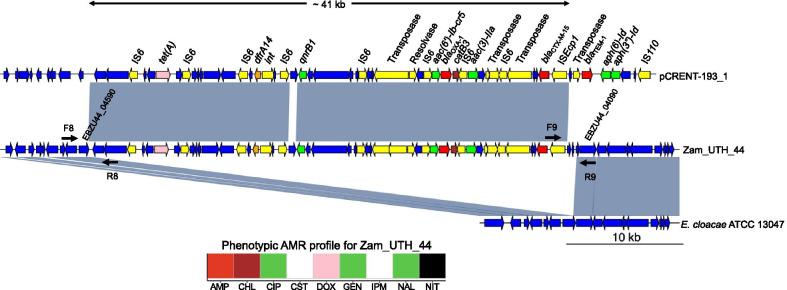 https://cdn.ncbi.nlm.nih.gov/pmc/blobs/a016/8111917/1b0380f95c36/13756_2021_941_Fig5_HTML.jpg