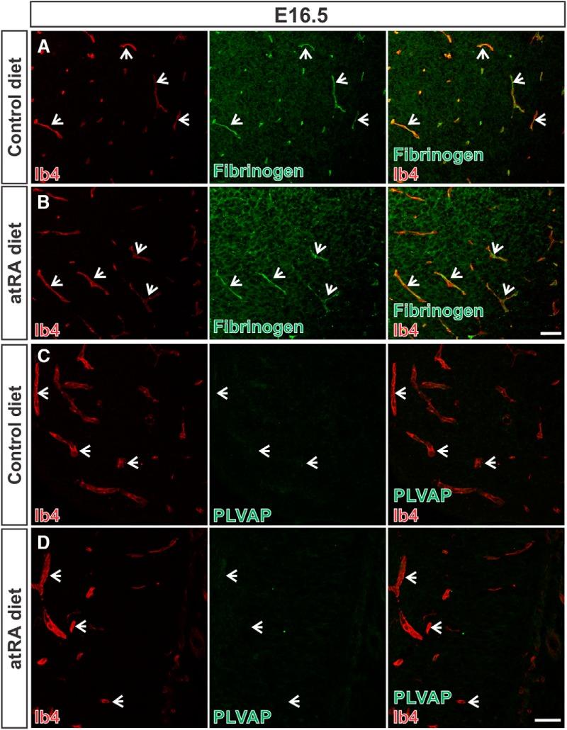 https://cdn.ncbi.nlm.nih.gov/pmc/blobs/a019/5446490/7d498ca72988/enu0031723210003.jpg