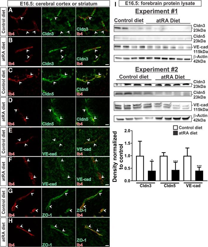 https://cdn.ncbi.nlm.nih.gov/pmc/blobs/a019/5446490/8a24f088770e/enu0031723210002.jpg