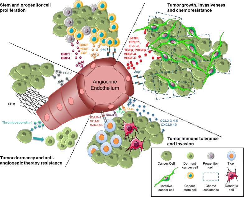 https://cdn.ncbi.nlm.nih.gov/pmc/blobs/a01a/6998193/367d844ff12d/12967_2020_2244_Fig2_HTML.jpg