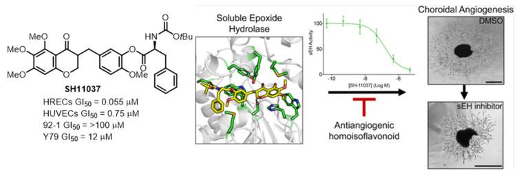 https://cdn.ncbi.nlm.nih.gov/pmc/blobs/a01c/11274659/f5a4f0499203/biomolecules-14-00785-g008.jpg