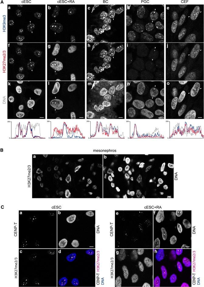 https://cdn.ncbi.nlm.nih.gov/pmc/blobs/a01c/4748481/b24a7b2c50f9/13072_2016_56_Fig2_HTML.jpg