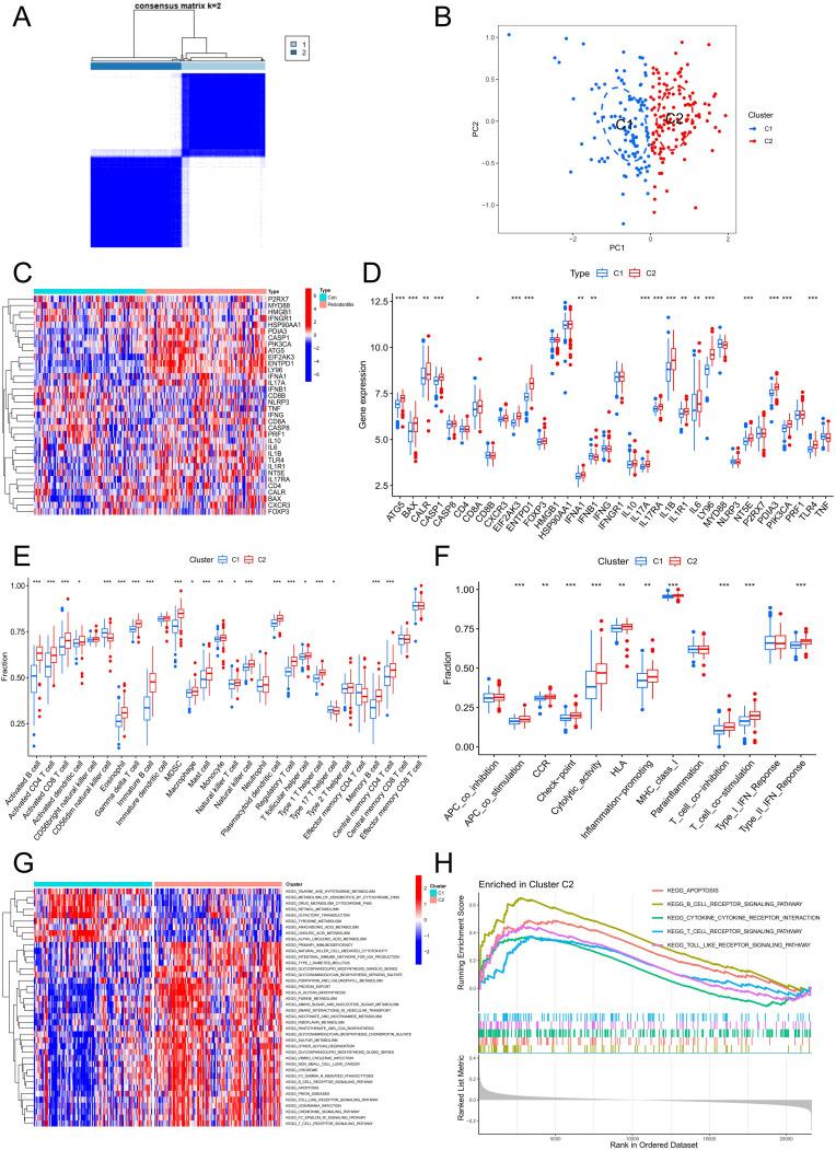 https://cdn.ncbi.nlm.nih.gov/pmc/blobs/a01e/11568468/5c9b39e5d84a/fimmu-15-1438998-g007.jpg