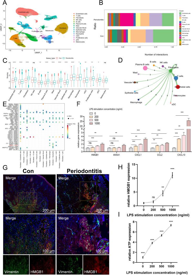 https://cdn.ncbi.nlm.nih.gov/pmc/blobs/a01e/11568468/831ec25eb9fd/fimmu-15-1438998-g001.jpg