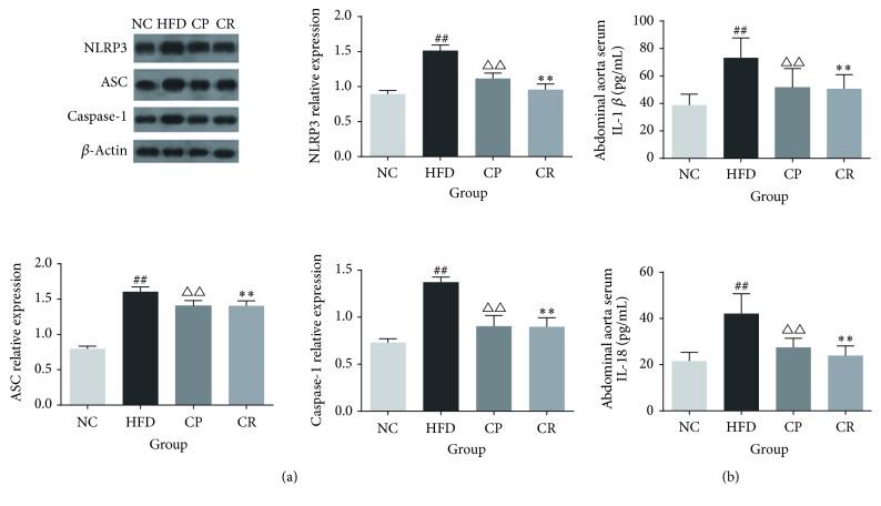 https://cdn.ncbi.nlm.nih.gov/pmc/blobs/a01e/5841032/a21cfd21ea5e/ECAM2018-5378961.005.jpg