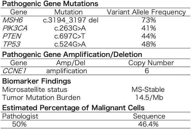 https://cdn.ncbi.nlm.nih.gov/pmc/blobs/a01f/12170289/4d68e1332f27/fonc-15-1552411-g004.jpg