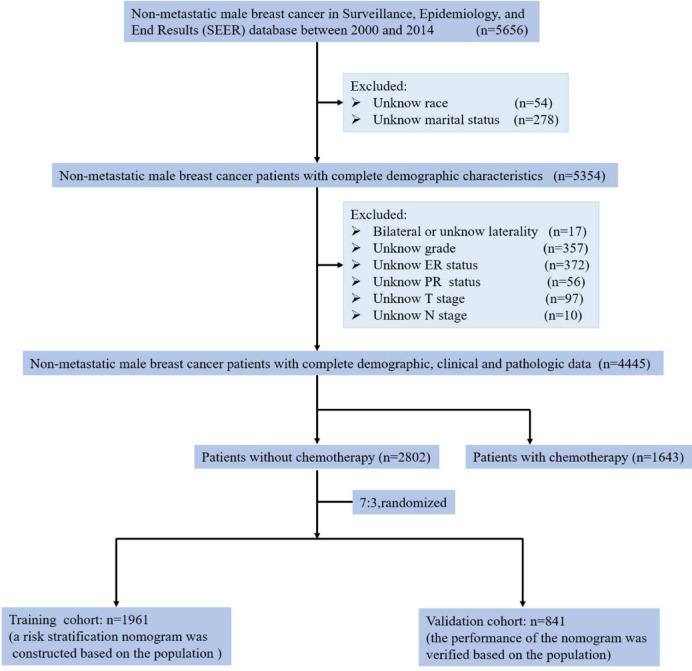 https://cdn.ncbi.nlm.nih.gov/pmc/blobs/a024/12234949/047c9b91e741/41598_2025_8440_Fig1_HTML.jpg