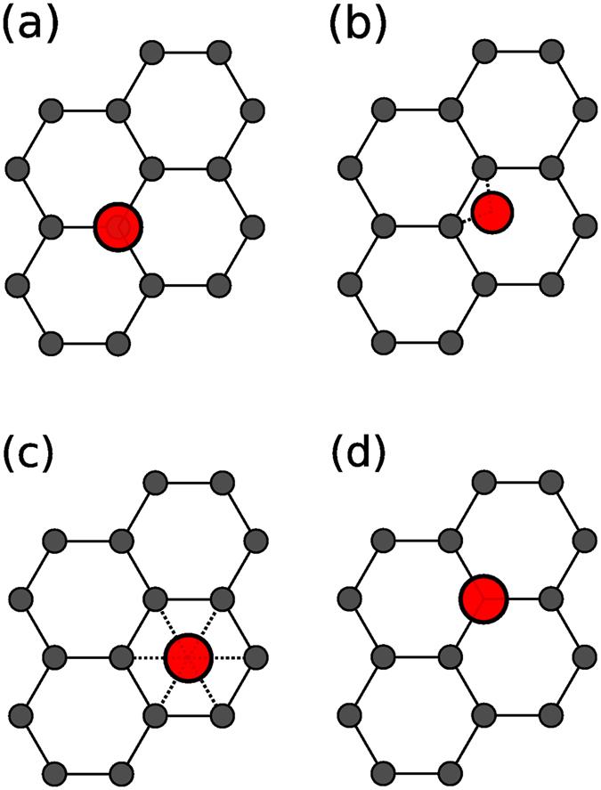 https://cdn.ncbi.nlm.nih.gov/pmc/blobs/a024/5479795/085100a95799/41598_2017_4339_Fig1_HTML.jpg