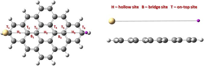 https://cdn.ncbi.nlm.nih.gov/pmc/blobs/a024/5479795/98fe33b0433d/41598_2017_4339_Fig5_HTML.jpg