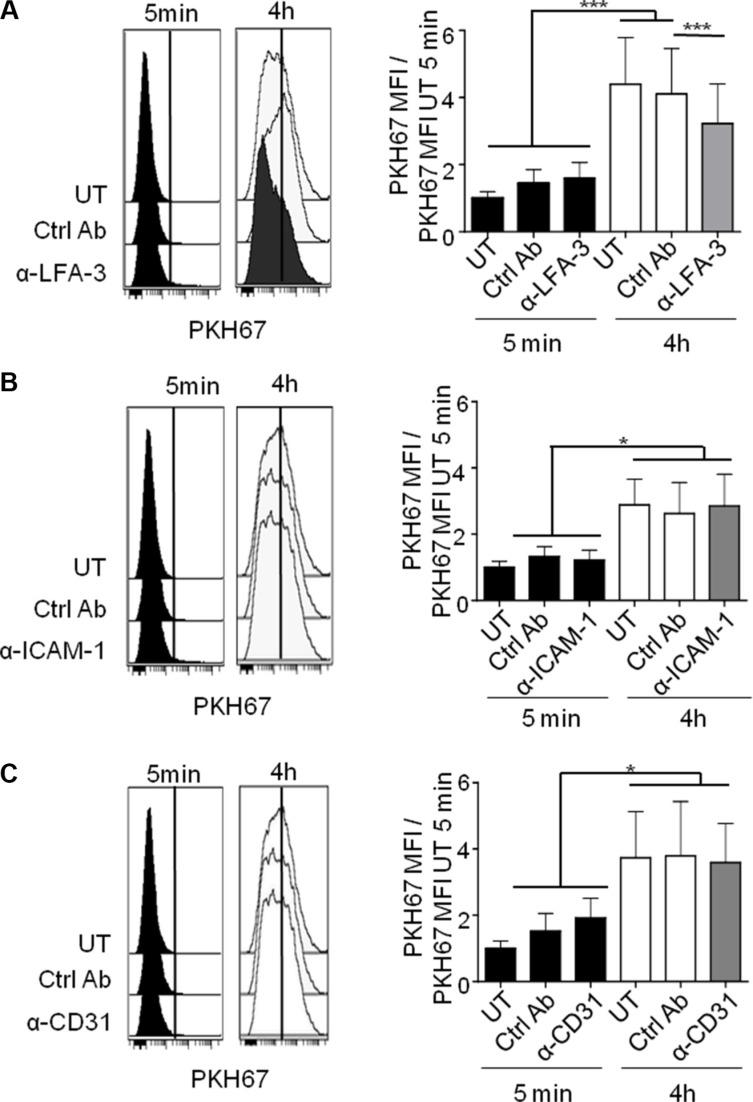 https://cdn.ncbi.nlm.nih.gov/pmc/blobs/a024/5581024/c37322ab5823/oncotarget-08-52225-g004.jpg