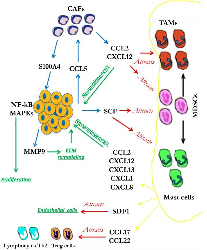 https://cdn.ncbi.nlm.nih.gov/pmc/blobs/a026/5344235/87673fca5db6/biomedicines-03-00071-g001.jpg