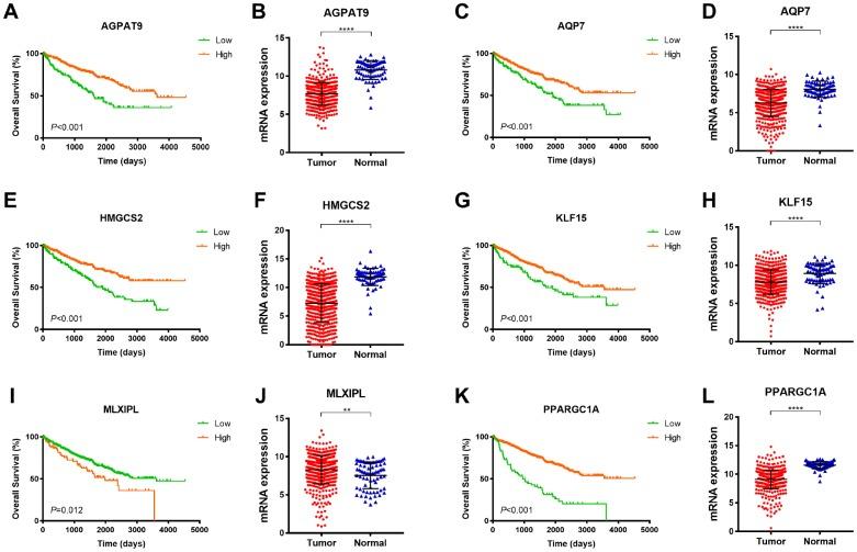 https://cdn.ncbi.nlm.nih.gov/pmc/blobs/a027/6756904/3102492aeed1/aging-11-102233-g004.jpg