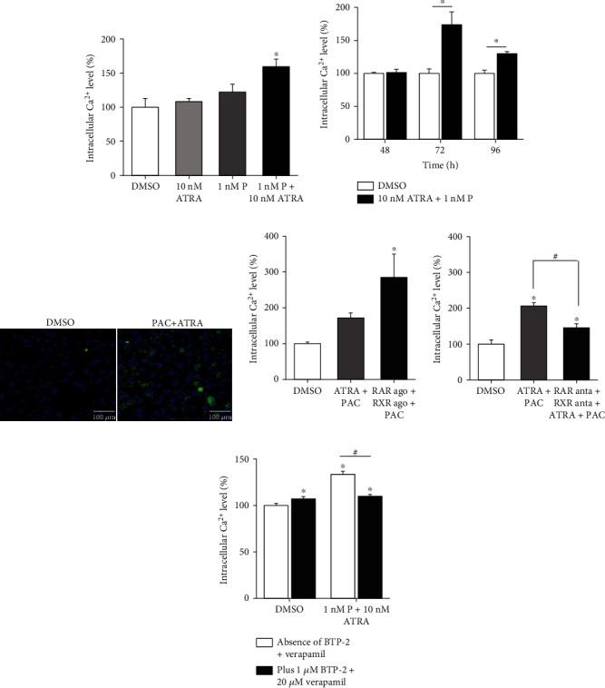 https://cdn.ncbi.nlm.nih.gov/pmc/blobs/a027/8514275/ac10182e4df5/BMRI2021-1242916.004.jpg
