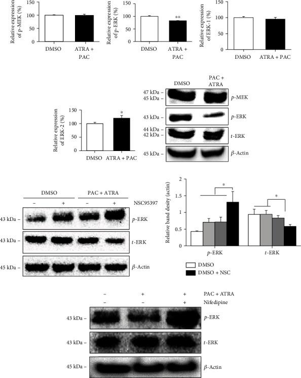 https://cdn.ncbi.nlm.nih.gov/pmc/blobs/a027/8514275/dcf97fb3f5ef/BMRI2021-1242916.005.jpg