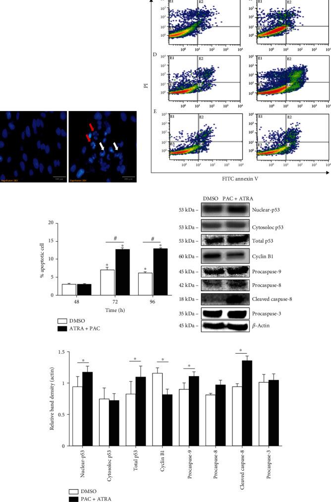 https://cdn.ncbi.nlm.nih.gov/pmc/blobs/a027/8514275/e0792a5bdff5/BMRI2021-1242916.003.jpg