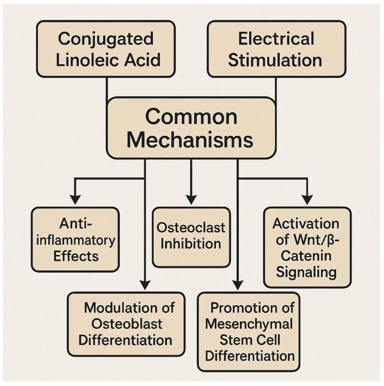 https://cdn.ncbi.nlm.nih.gov/pmc/blobs/a028/12030704/ad9b7988fcf8/nutrients-17-01395-g005.jpg