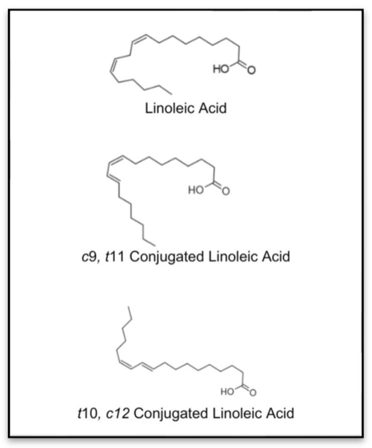 https://cdn.ncbi.nlm.nih.gov/pmc/blobs/a028/12030704/cd2366c6daec/nutrients-17-01395-g001.jpg