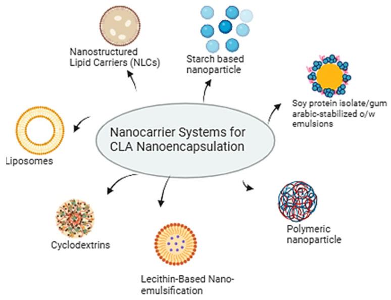 https://cdn.ncbi.nlm.nih.gov/pmc/blobs/a028/12030704/d4f83ea966ab/nutrients-17-01395-g003.jpg