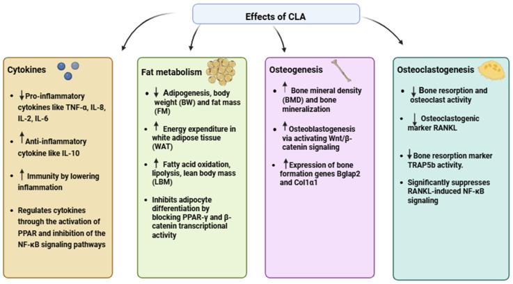 https://cdn.ncbi.nlm.nih.gov/pmc/blobs/a028/12030704/e10efff69de2/nutrients-17-01395-g002.jpg
