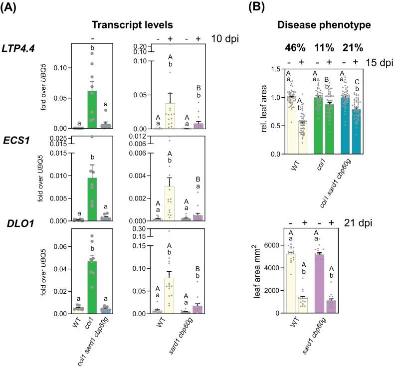 https://cdn.ncbi.nlm.nih.gov/pmc/blobs/a028/12116175/dd75a35be4fe/eraf056_fig4.jpg