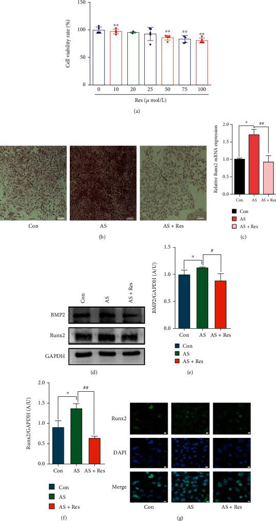 https://cdn.ncbi.nlm.nih.gov/pmc/blobs/a029/10985643/1de4ed75d51c/CDTP2024-1506083.001.jpg