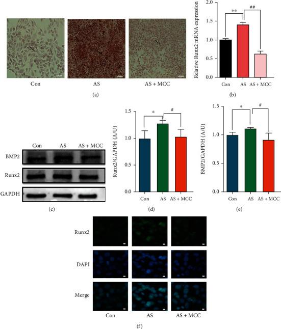 https://cdn.ncbi.nlm.nih.gov/pmc/blobs/a029/10985643/ee87597dbc94/CDTP2024-1506083.004.jpg