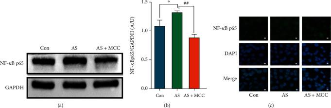 https://cdn.ncbi.nlm.nih.gov/pmc/blobs/a029/10985643/ef1c6f6b970b/CDTP2024-1506083.006.jpg