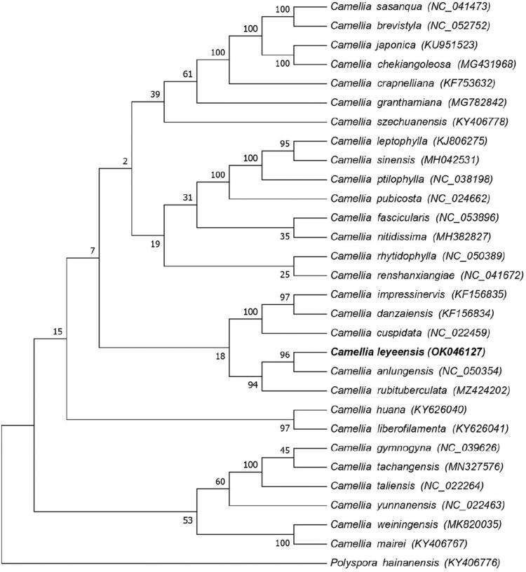 https://cdn.ncbi.nlm.nih.gov/pmc/blobs/a02c/9067957/9a5f821d706b/TMDN_A_2068980_F0001_B.jpg