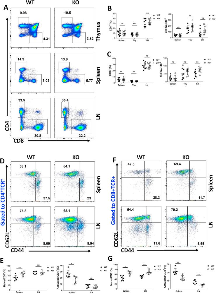 https://cdn.ncbi.nlm.nih.gov/pmc/blobs/a02d/8093650/e48760b73532/gr1.jpg