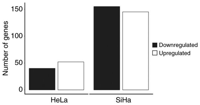 https://cdn.ncbi.nlm.nih.gov/pmc/blobs/a02e/6910176/a2512de842a3/IJO-56-01-0033-g06.jpg