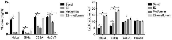 https://cdn.ncbi.nlm.nih.gov/pmc/blobs/a02e/6910176/f23580888389/IJO-56-01-0033-g05.jpg