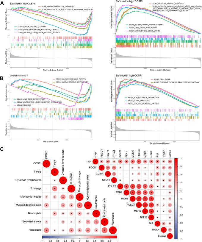 https://cdn.ncbi.nlm.nih.gov/pmc/blobs/a02e/9109250/598def43a4bd/fgene-13-839884-g009.jpg