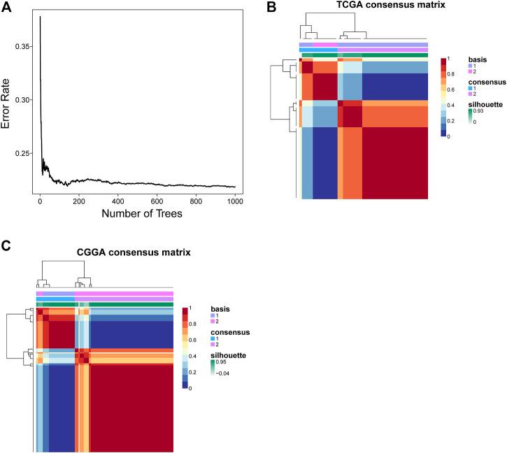 https://cdn.ncbi.nlm.nih.gov/pmc/blobs/a02e/9109250/70a537f3c9e4/fgene-13-839884-g002.jpg
