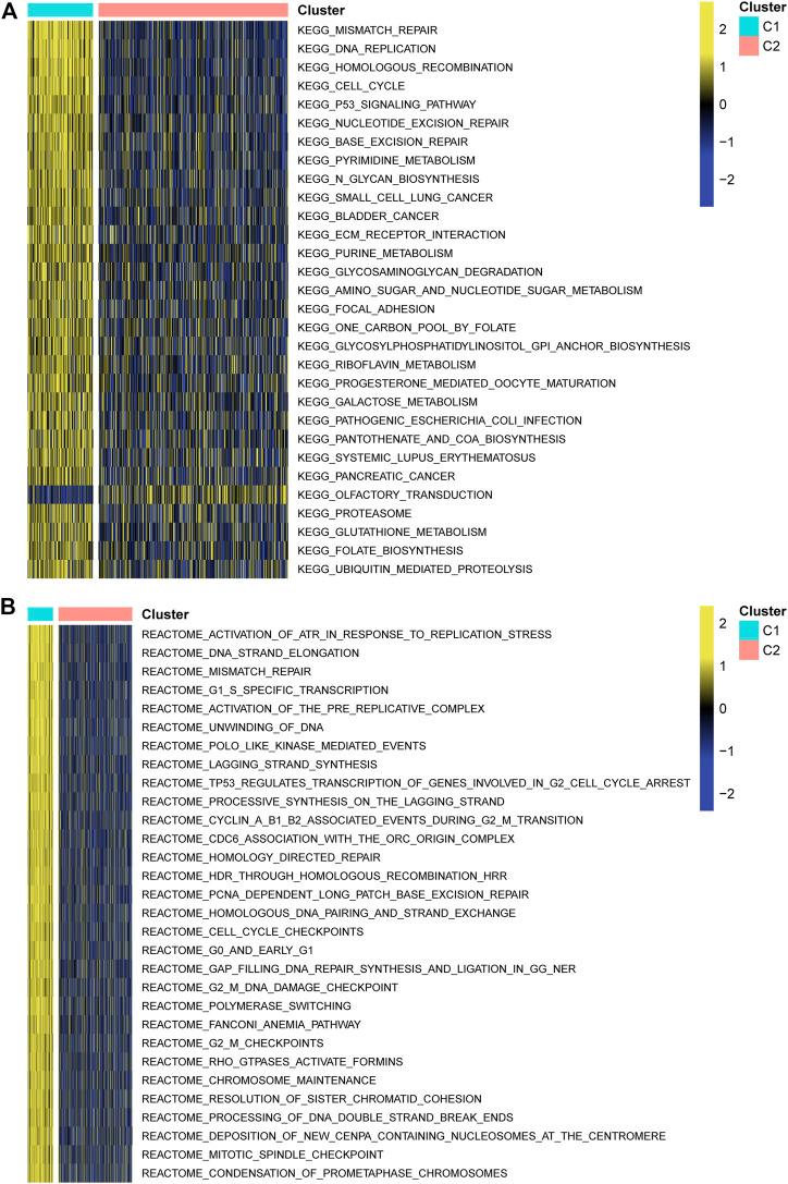 https://cdn.ncbi.nlm.nih.gov/pmc/blobs/a02e/9109250/e21db10b8dc4/fgene-13-839884-g004.jpg