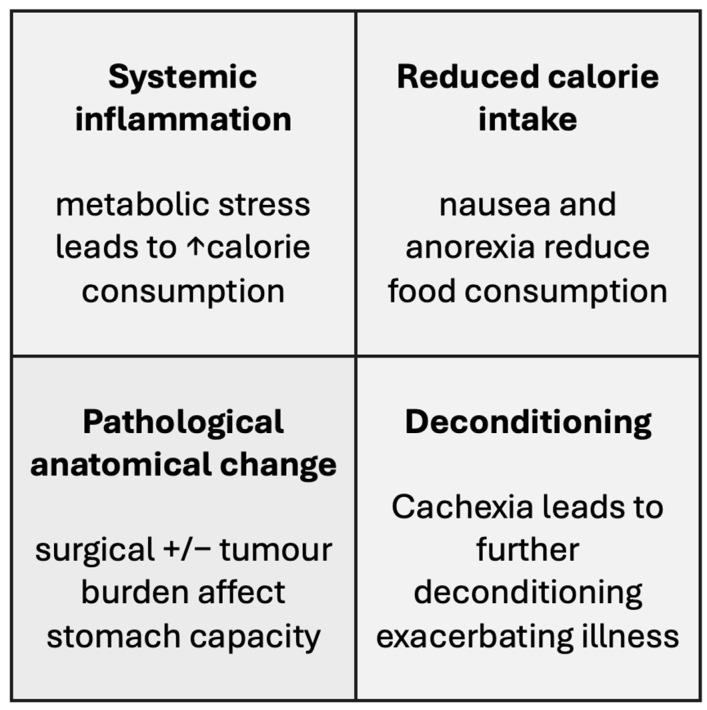 https://cdn.ncbi.nlm.nih.gov/pmc/blobs/a02f/11053965/ccf1c0ecba59/nutrients-16-01246-g001.jpg