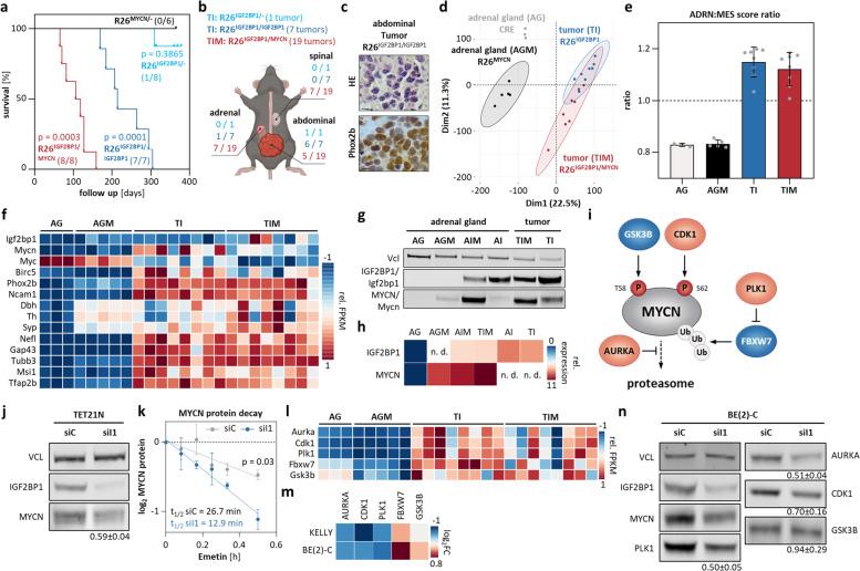 https://cdn.ncbi.nlm.nih.gov/pmc/blobs/a033/10226260/f7fec25df975/12943_2023_1792_Fig6_HTML.jpg